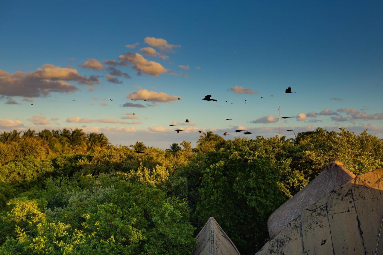 Mamasan Treehouses & Cabins Τουλούμ Εξωτερικό φωτογραφία